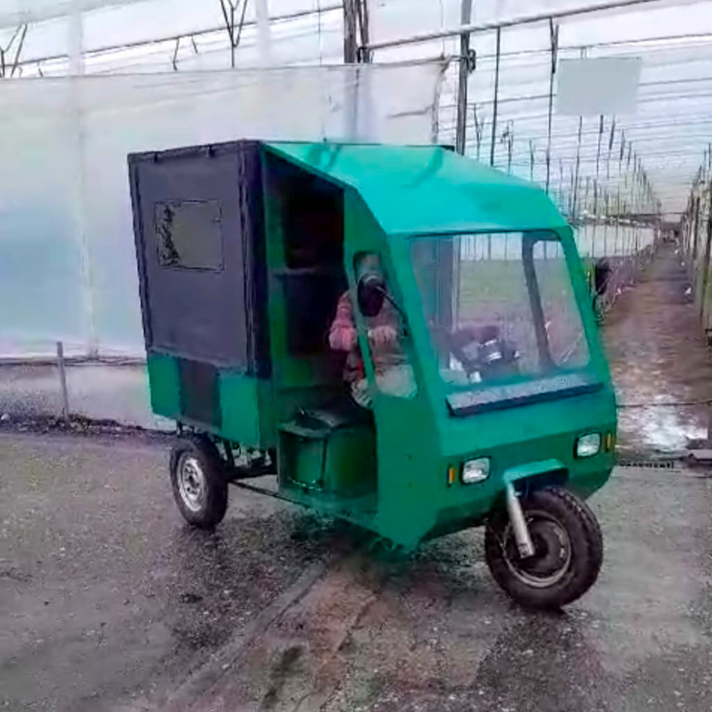 Camión Eléctrico Mini Vista 2